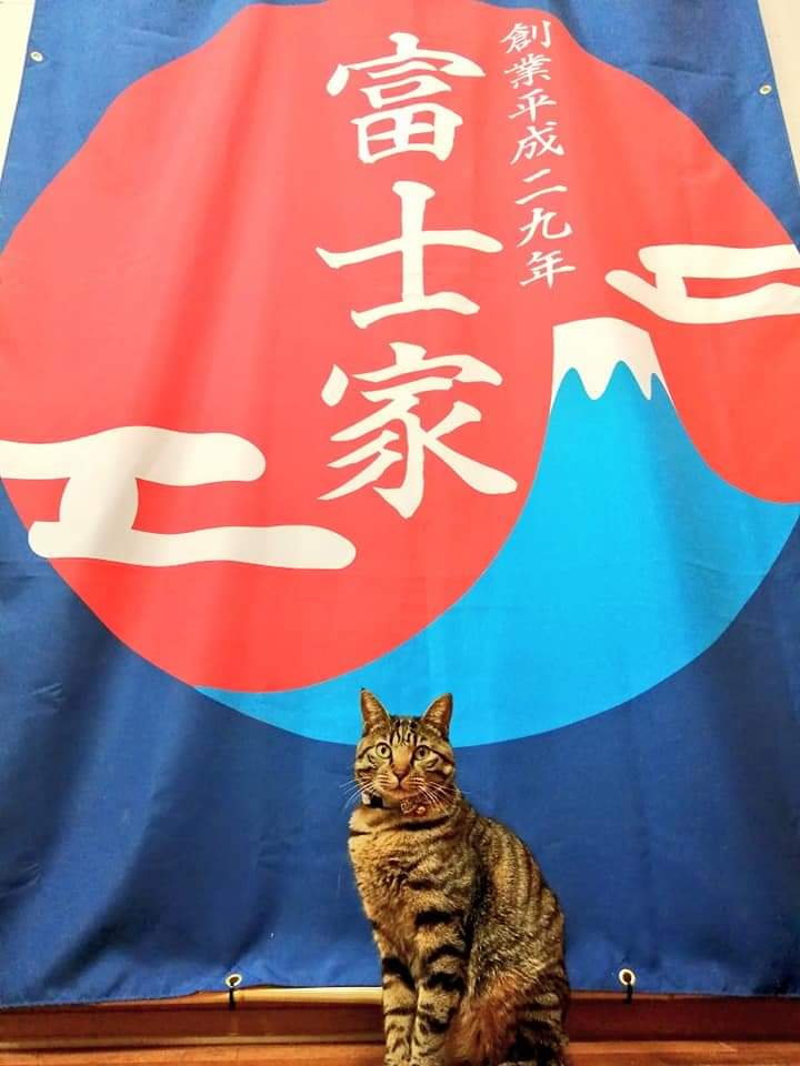 高菜先生看板猫